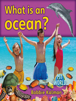 cover image of What is an ocean?